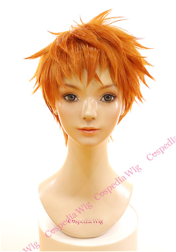 ヒプノシスマイク 毒島メイソン理鶯 風 ウィッグ