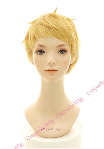 博多藤四郎 風 ウィッグ