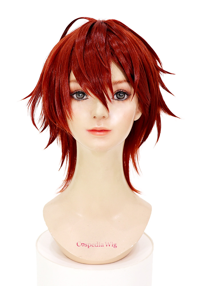 西園練牙 風 ウィッグ