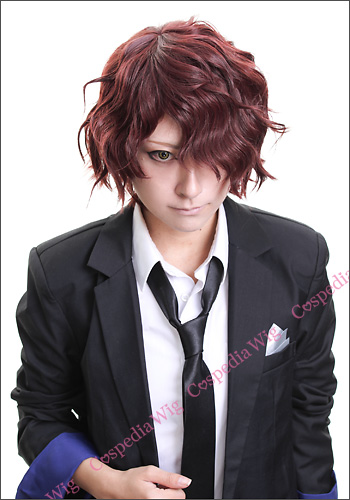 PSYCHO-PASS サイコパス 雛河 翔 風 ウィッグ