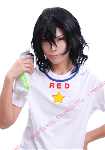 弱虫ペダル 手嶋 純太 風 ウィッグ