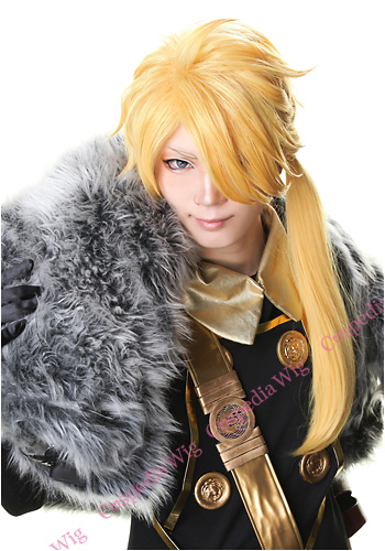 獅子王 風 ウィッグ