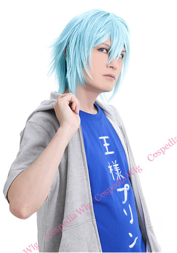 アイドリッシュセブン 四葉環 風 ウィッグ