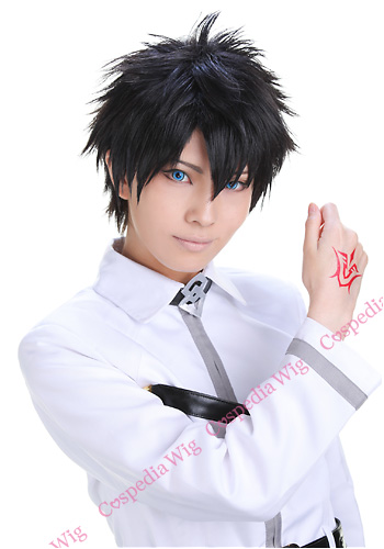Fate　男性主人公 風 ウィッグ