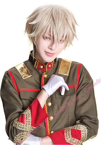 Fate　ガウェイン 風 ウィッグ