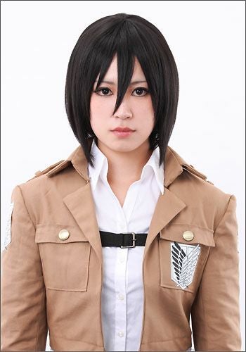 進撃の巨人 ミカサ アッカーマン 風 ウィッグ 【カラー変更可】 進撃の